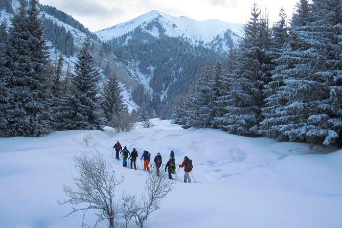 1-day Backcountry Tour - Key points to know before booking