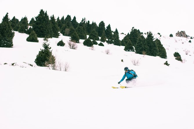 1-day Backcountry Tour - A practical introduction to ski touring