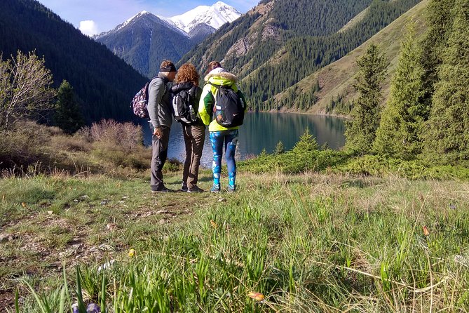 2-Day Private Tour - The Kolsai Lake & Kaindy (Sunken forest) via Charyn canyon - Five things to know before booking