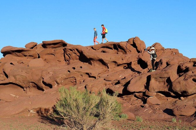 2 Days Tour: Altyn Emel National Park – Singing Dunes & Aktau Mountains - The guide and vehicle can shape the whole trip