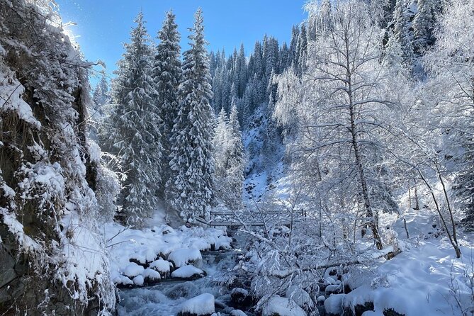 Alma-Arasan & Ayusai Mountain Gorges with Hot Springs Tour - Sunkar Falcon Farm and the nomadic tradition