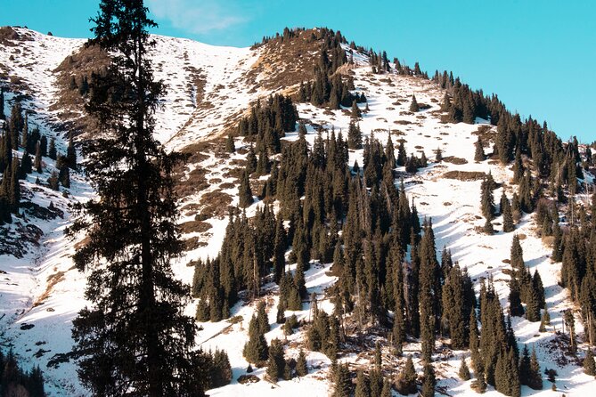 Alma-Arasan gorge tour - Leaving Almaty from First President’s Park at 10 a.m.