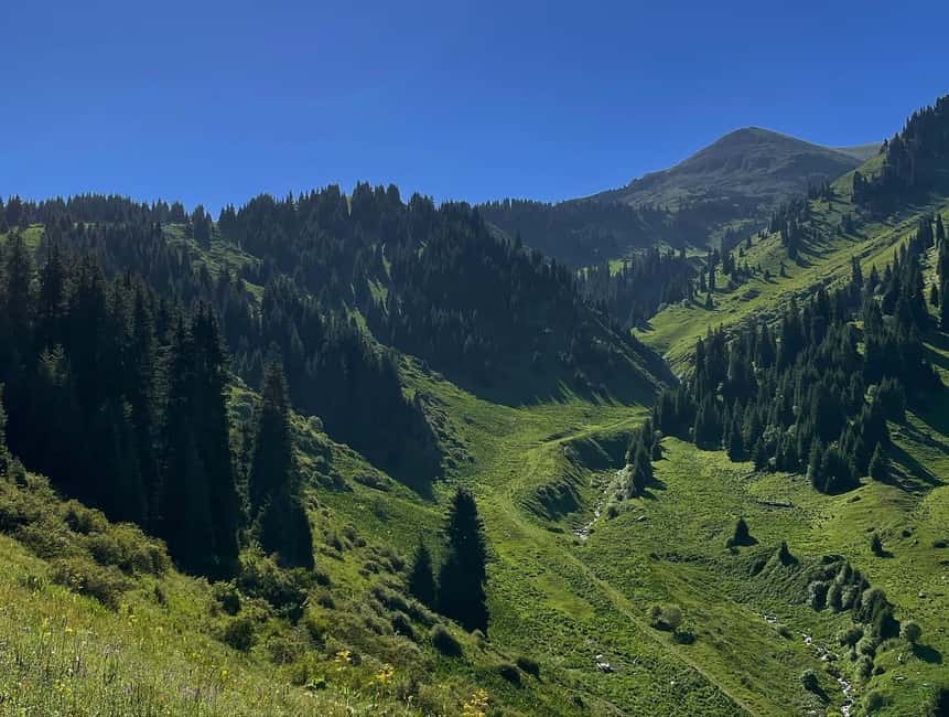 Almaty: Advanced Hiking - Four Peaks Hike - Starting in Kim Asar Valley