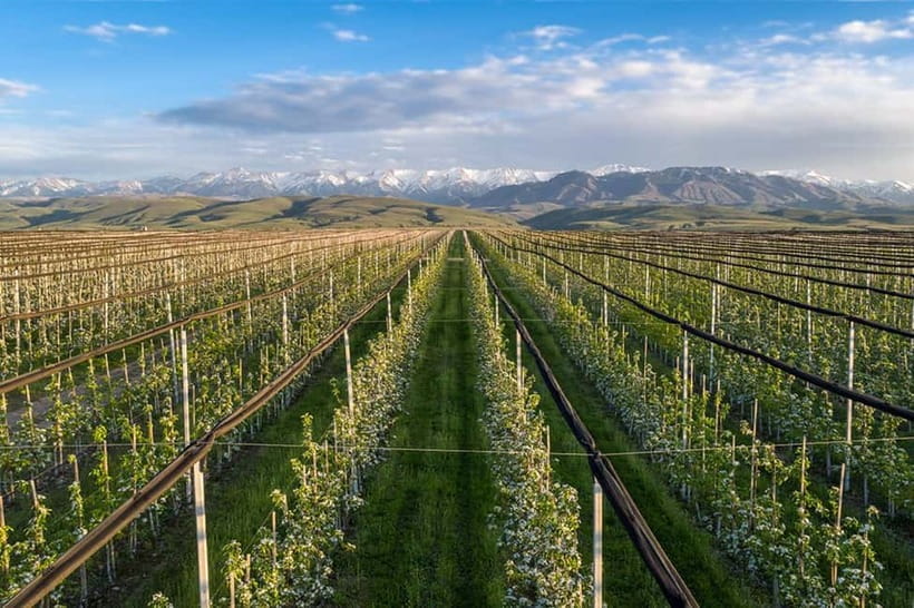 Almaty City: Big Almaty Lake Roundtrip Transfer and Tour - Booking Details That Matter