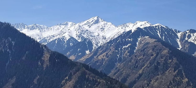 Almaty: Falconry show and Big Almaty Gorge - Practical tips for a smoother day