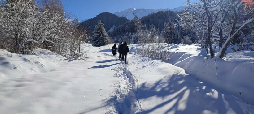 Almaty: Hiking to the High Mountain Pasture Kok Zhailau - The Descent Back to Almaty