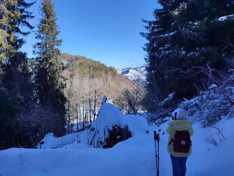 Almaty: Hiking to the High Mountain Pasture Kok Zhailau - Who Will Enjoy This Hike Most