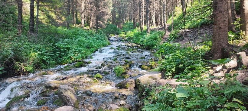 Almaty in a Day: Mountains and City Highlights - Why this five-hour Almaty outing works