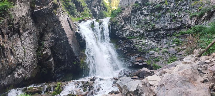Almaty in a Day: Mountains and City Highlights - A wild bird show with a conservation angle