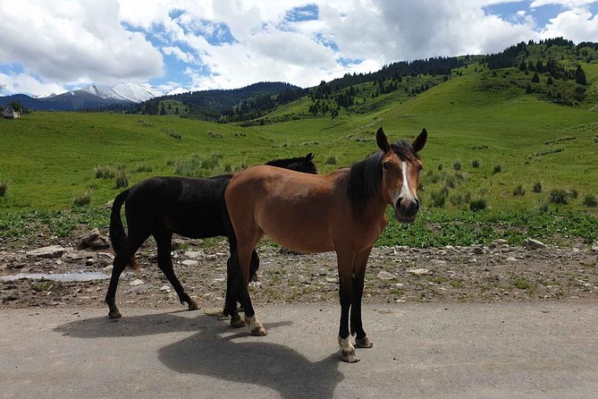 Almaty Region 3 Days Tour from Almaty - Guides, group size, and the style of the trip