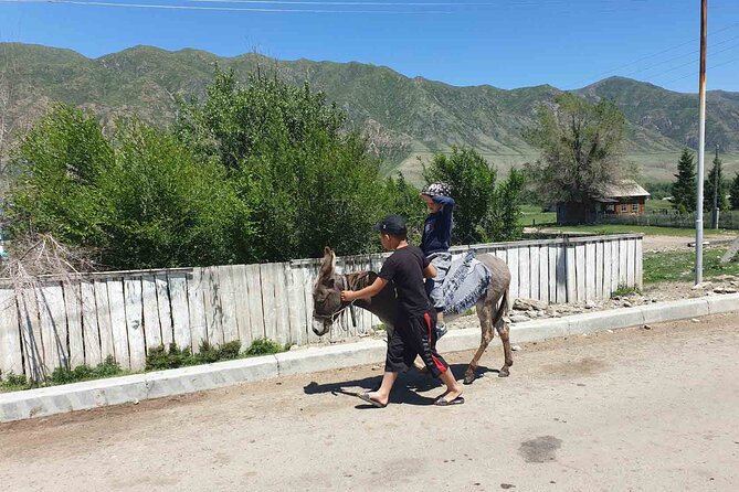 Almaty Region 3 Days Tour from Almaty - Day one: from Almaty to Altyn-Emel