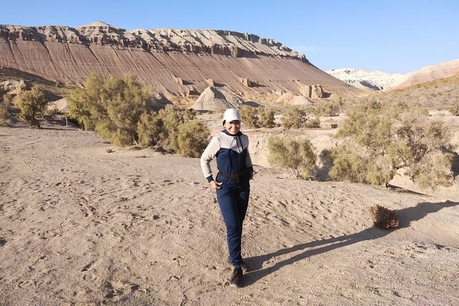 Altyn emel 2 days tour. (Singing dune, AkTau, KattyTau) - Wildlife, including kulan and Przewalski’s horse