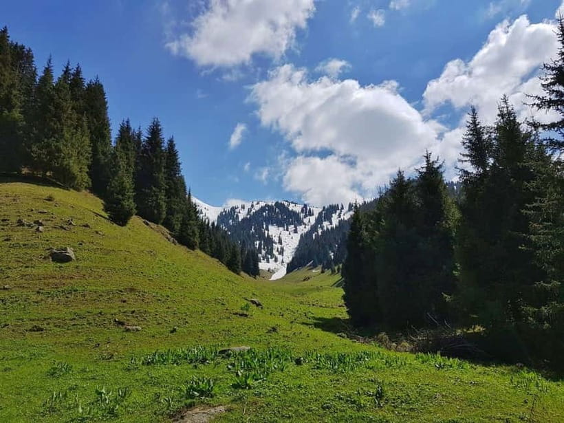 "Butakovka Waterfall" - a half day tour - Key points to know before you book
