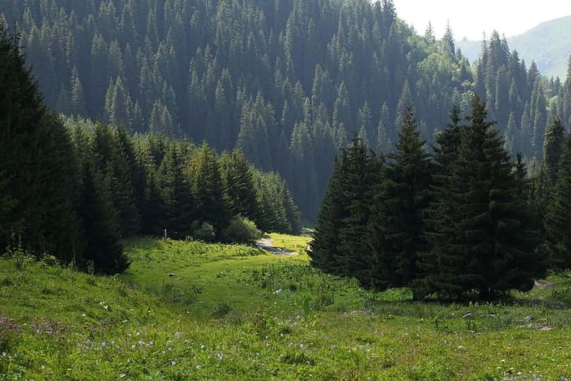 "Butakovka Waterfall" - a half day tour - Leaving Almaty for the Trans-Ili Alatau foothills