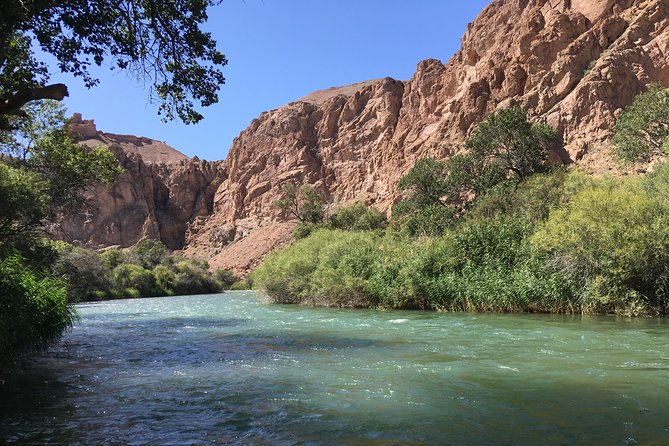Charyn Canyon Private tour from Almaty, 1 day - Leaving Almaty At 7:30 In A Private Vehicle