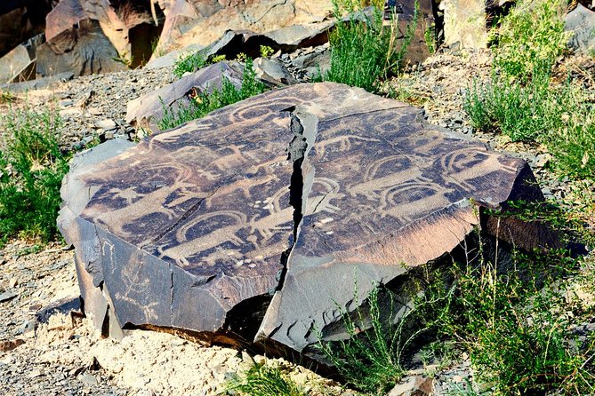 Day Trip to Tanbaly Petroglyphs - Three hours among six groups of petroglyphs