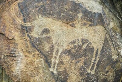 Day Trip to Tanbaly Petroglyphs