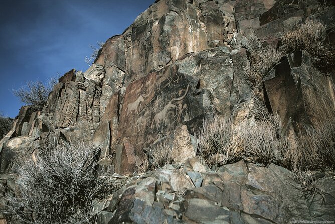 Day Trip to Tanbaly Petroglyphs - What the guide and driver add to the day