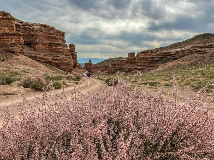 From Almaty: Charyn Canyon Full-Day Trip with Boxed Lunch - Walking through the Valley of Castles