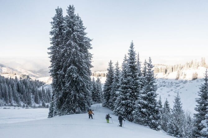 One Day Ski Tour Near Almaty - Safety equipment is an important extra cost