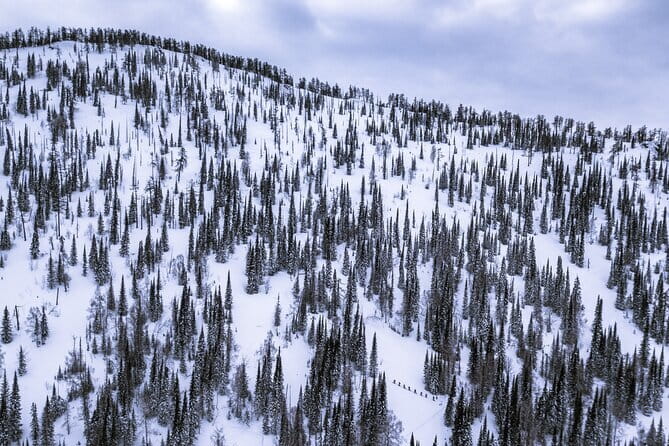One Day Ski Tour Near Almaty - Why guide Max matters here