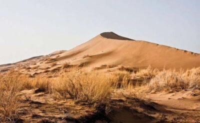 One Day Tour to Altyn-Emel: Singing Dune and Aktau Mountain