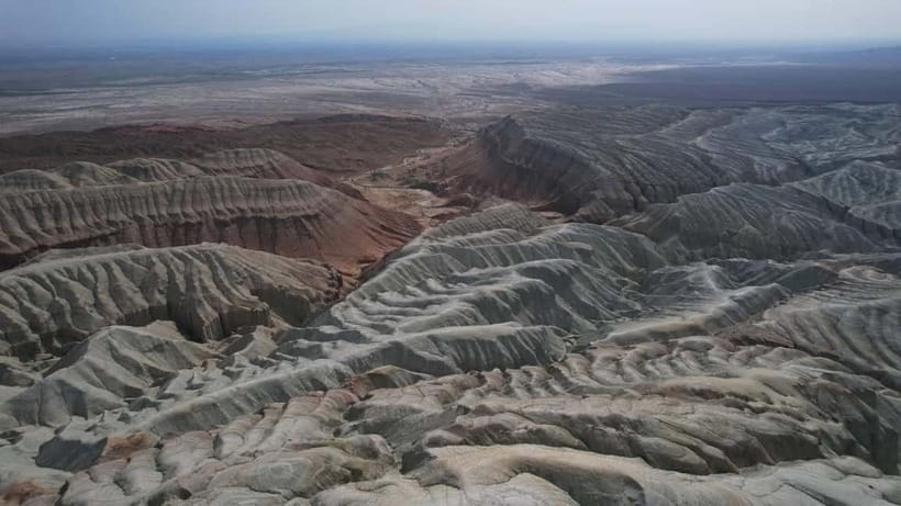 One Day Tour to Altyn-Emel: Singing Dune and Aktau Mountain - The 700-year-old willow and Altyn-Emel’s open spaces