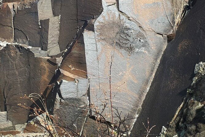 Petroglyphs of Tanbaly UNESCO World Heritage Site - Why Tamgaly is worth the trip from Almaty