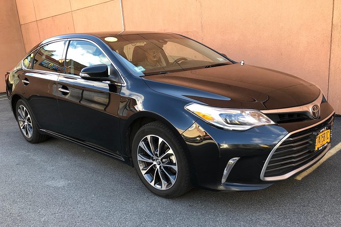 Private Arrival Transfer from Almaty International Airport (ALA) - Choosing between a sedan and minivan