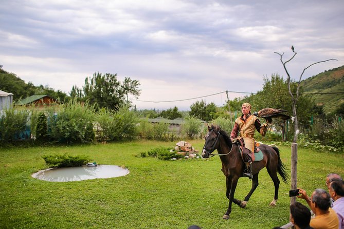 Private ethnic tour in Almaty (including lunch) - Sunkar Falcon Farm and the hour with predatory birds