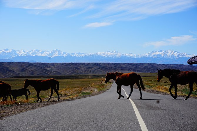 Private tour Almaty Region 3 days with Silktravel - Aktau and Katutau: white rock and ancient fire