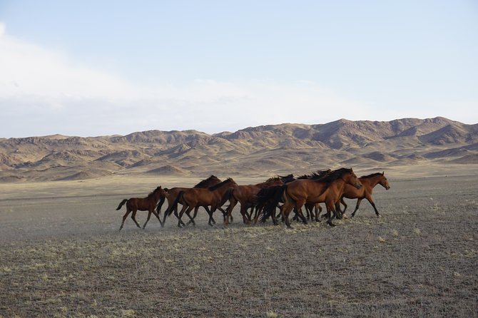 Private tour Almaty Region 3 days with Silktravel - Morning drive past Kapshagai Reservoir