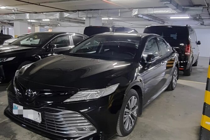 Private Transfer from Nursultan Nazarbayev (NQZ) Airport to Astana - What this transfer does not include