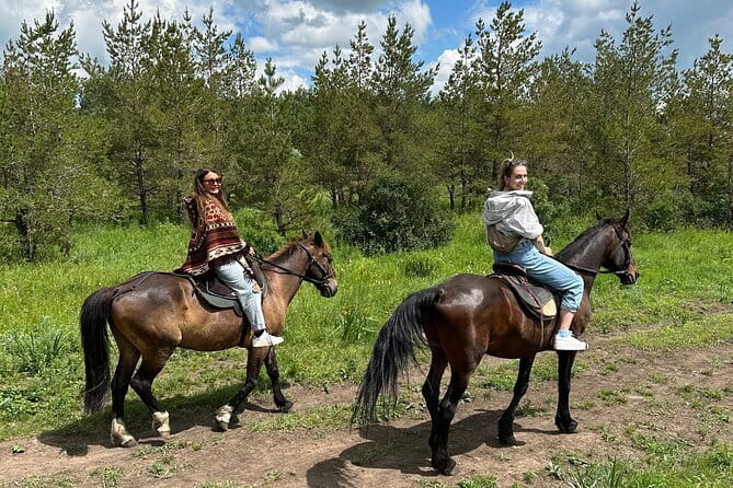 Private Yurt Tour with Horses: Immerse into Kazakh Culture - From Nur-Sultan to BalQaragai in under an hour