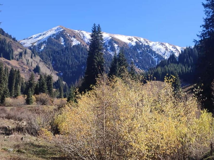 Skyline Hike in Almaty: Bukreev Peak - Why Bukreev Peak makes a good Almaty day trip